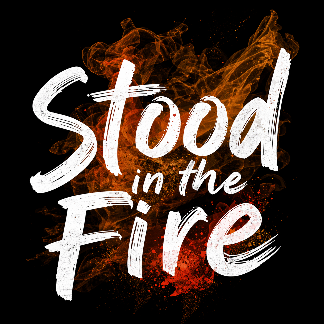 StoodInTheFire