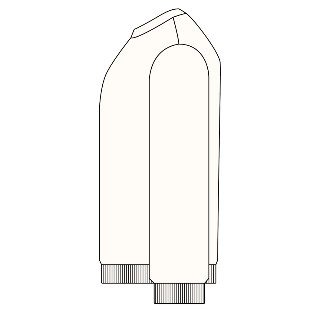 "His Donkey" Sweatshirt (Snow Washed)